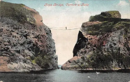 BR81687 Seilbrücke Carrick a rede Nordirland