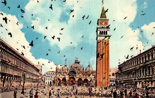 BG27939 piazza s marco piccionata venezia italy