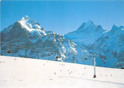 BG28332 Grindelwald First mit Wetterhorn Schweiz