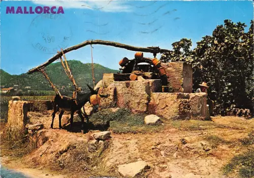 BT17606 Mallorca noria tipica spanien