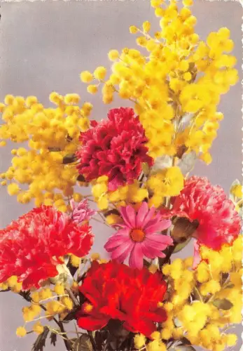 B52146 Blumen fleurs