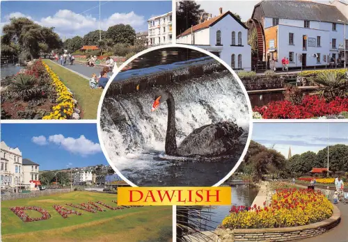 BT18329 dawlish devon uk