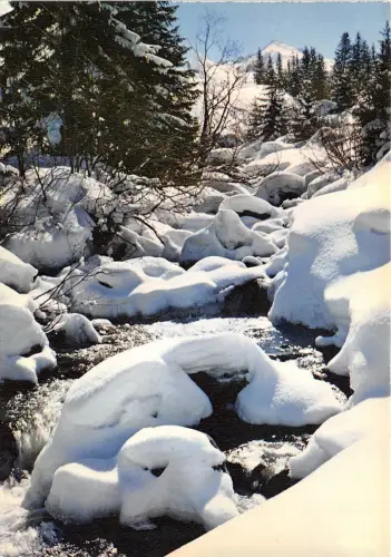 BR087 Niege et Soleil le torrent sous la niege france