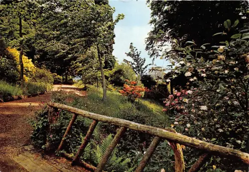 B87802 killerton gardens devon uk