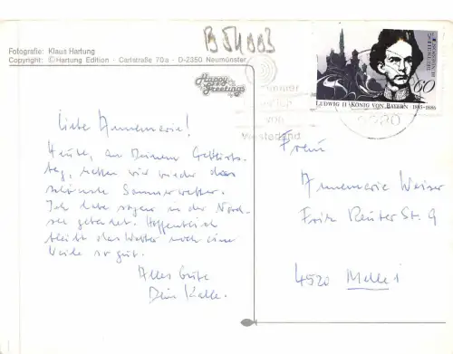 B54003 Pflanzen Arbress Tree