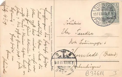 B37611 Fleurs Flowers