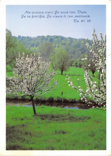 B52117 fleurs flowers paysage de printemps