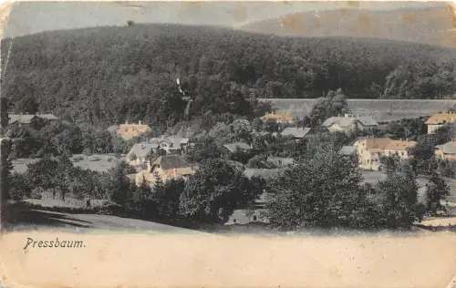 B76455 Niederösterreich Pressbaum 1908