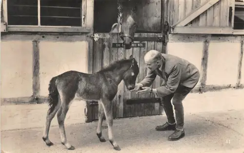 Lot317 Fohlen Pferd Mann füttert ein Pferd Sozialgeschichte Echtfoto UK Sherness