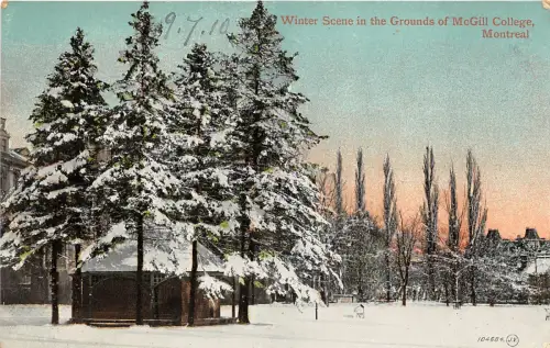 br105481 winterszene mcGill college montreal canada
