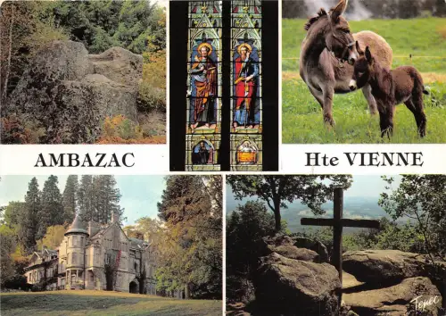 BR2393 France Ambazac anes donkeys multi vues