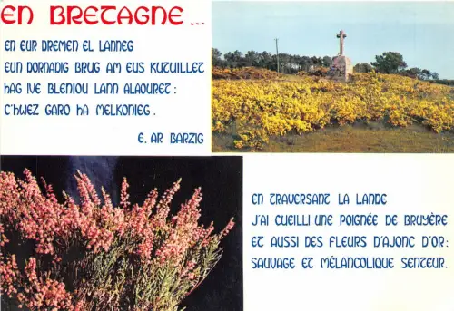 BR411 France Bretagne multi vues
