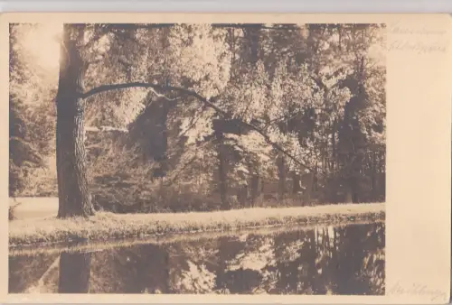 B80277 Modellbau Österreich Vorder-/Rückbild