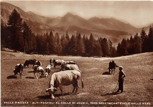 Lot118 valle d aosta alti pascoli al colle di joux kuh echtfoto typen italien