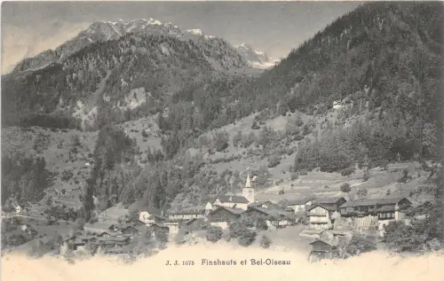 Lot104 switzerland finshaufs et bel oiseau