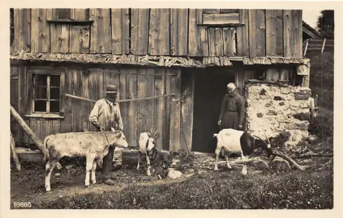 Lot287 Wehrliverlag Kilchberg Zürich Bauern Tiere Ziege Echtfoto Schweiz