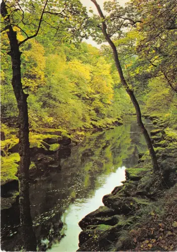 B87395 bolton woods wharfedale yorkshire uk