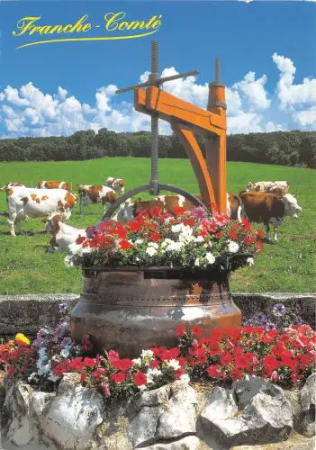 B49840 animaux Tiere Vaches Kühe franche comte france