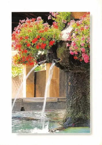 B50170 Provence Frankreich