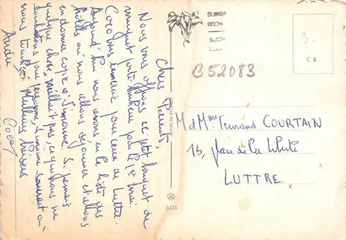 B52083 Fleurs Flowers