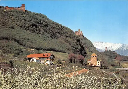 B68382 Italia Dolomiti St Pauls italy