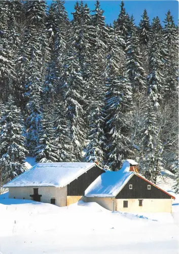 B52535 L'hiver en Franche Comte france