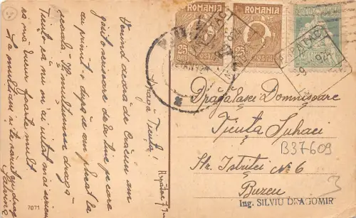 B37609 Fleurs Flowers