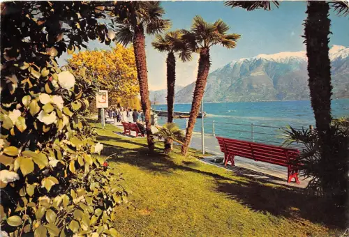 B31614 Locarno Muralto Lago Maggiore Schweiz