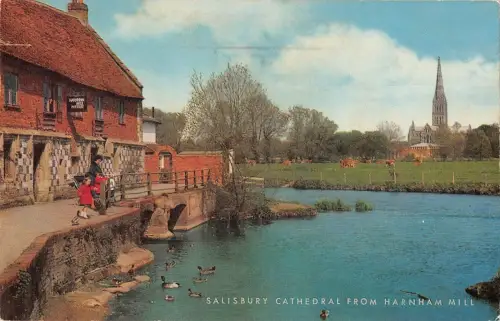 B103877 Salisbury Cathedral from Harnham Mill UK
