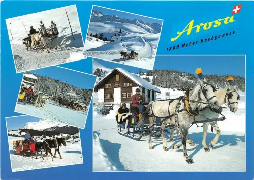 B31711 Arosa Pferdeschlitten Multi Vues Schweiz