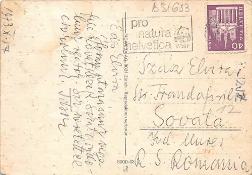 B31653 Durch Multi Vues Schweiz