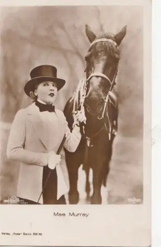 B78360 männliches Murray Pferd Menschen Schauspieler