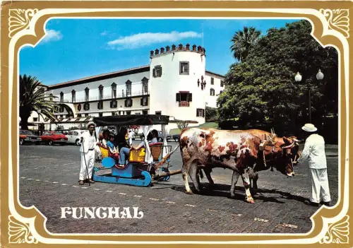 BR8447 Madeira Palais de Gouvernator et un chair de boeufs typique portugal