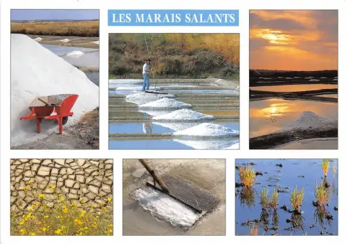 B50626 Cote Atlantique Les Marais salants france