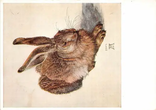 B70308 Tiere Animaux Schoß Hase