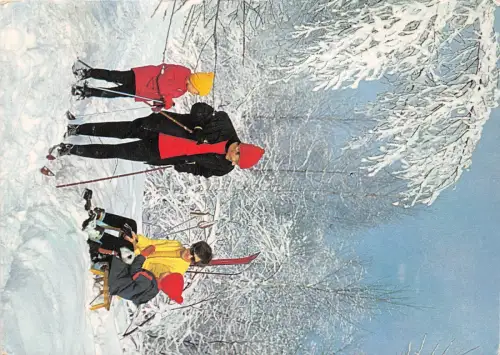 B70271 Sport Ski Sky