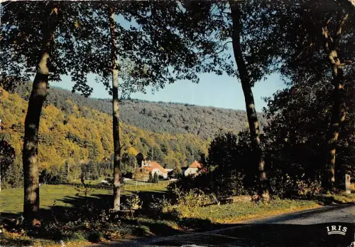 BR2099 Couvin Fonds de Pernelle belgien