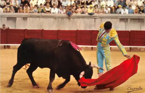 B75341 Toros Hülle Natur Corrida Spanien