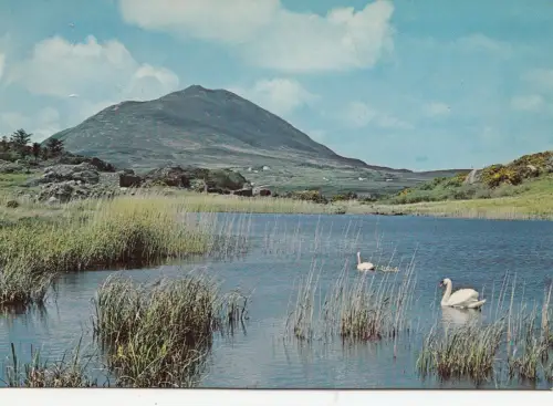 BF12973 Lake Szene Letterfrack Connemara Irland Vorder-/Rückbild