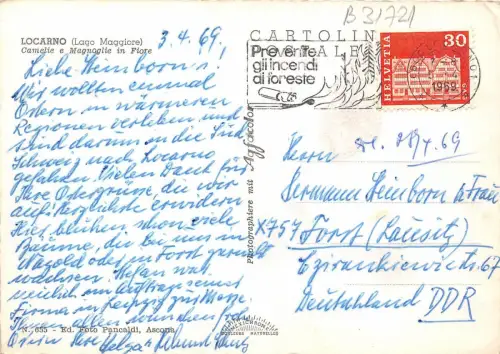 B31721 Locarno Lago Maggiore Camelie e Magnolie in Fiore Schweiz