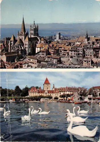 B31783 Lausanne LA Cathedrale et la Cite le port d`ouchy switzerland