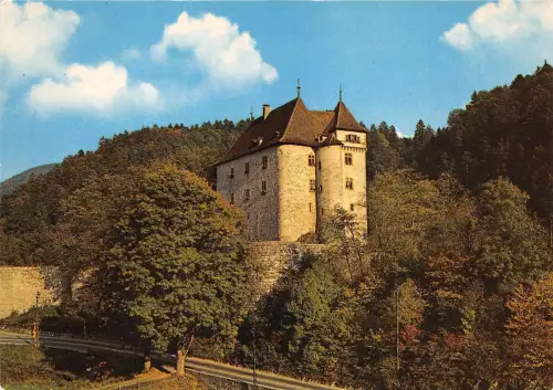 B31627 Valangin Le Chateau Schweiz