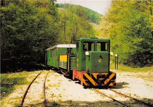 BC59458 Zug Palhazi Erdei Vasut chemin a fer Eisenbahn