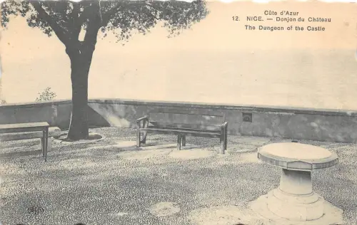 B2746 Frankreich Schöner Donjon du Chateau PPC Front/Back Scan