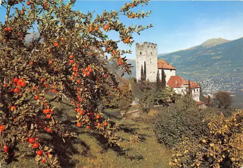 B33396 Schloss Leone Preso Meran Italien