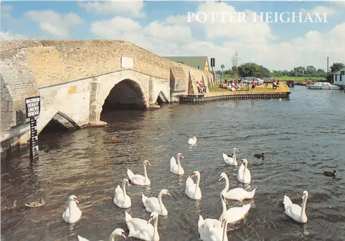 uk43436 potter heigham london uk swan