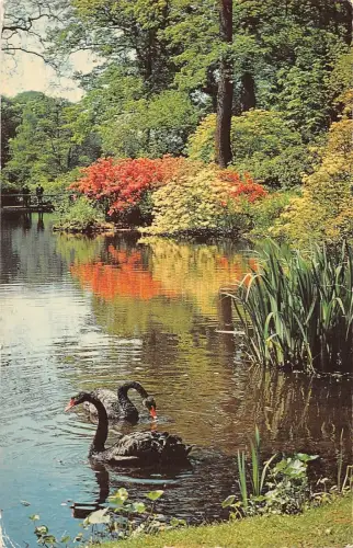 BR66849 the savill garden windsor great park uk 14x9cm