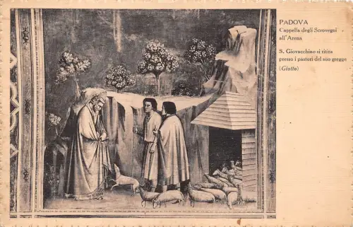 B6819 Padova Cappella degli Scrovegni