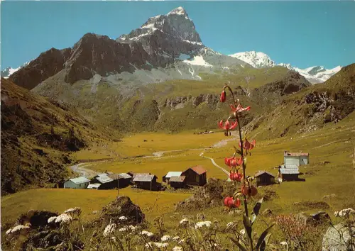 B31621 Val Faller mit Piz Platta bei Mulegns im Oberhalbstein Schweiz