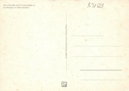 B31621 Val Faller mit Piz Platta bei Mulegns im Oberhalbstein Schweiz